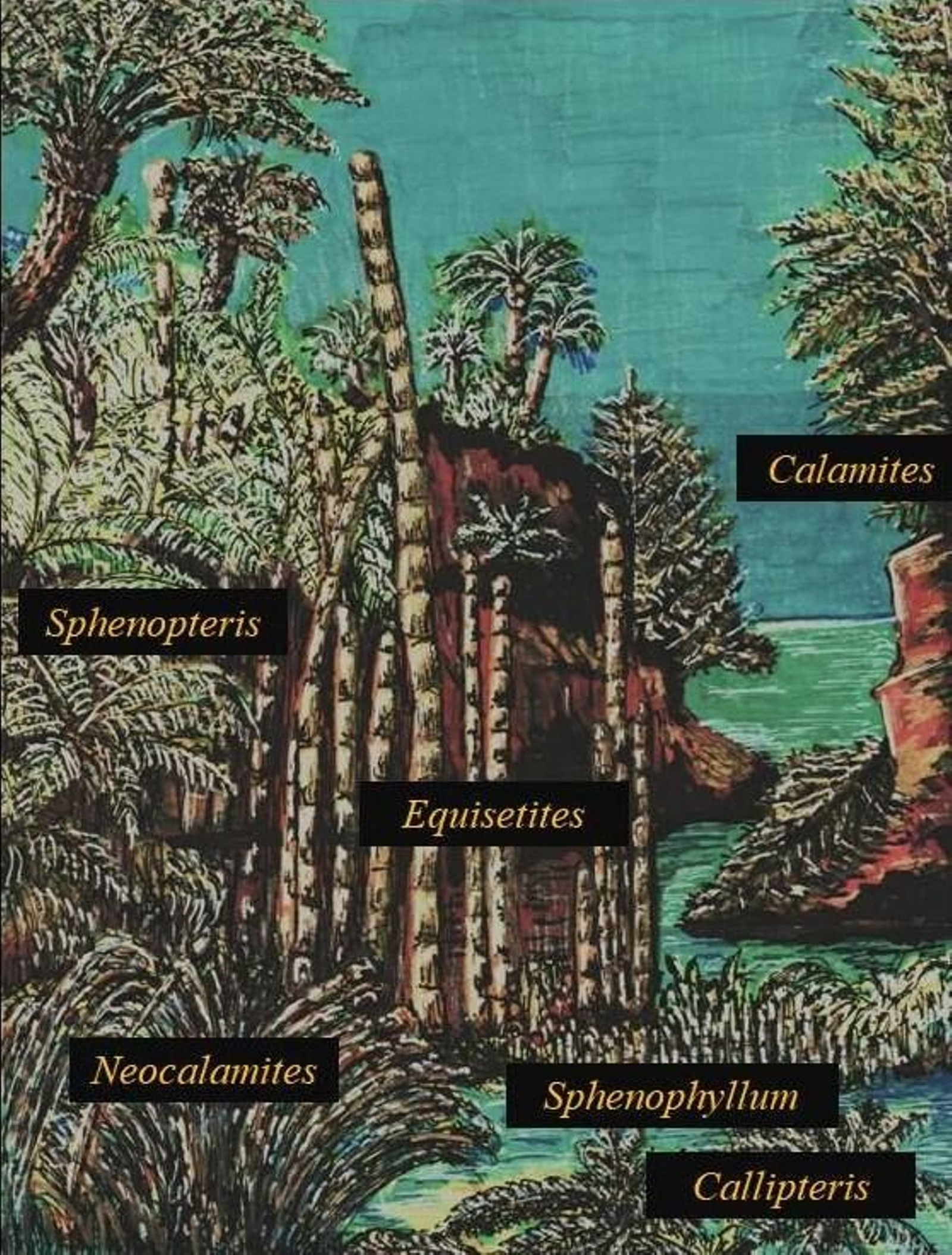 Fotos de la flora y fauna del Parque Natural de Los Alcornocales