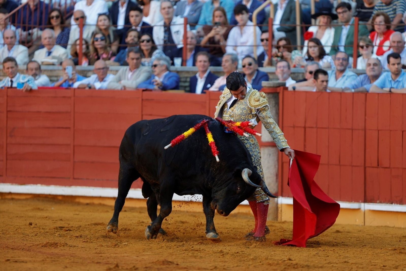 Las mejores fotos de la corrida de Morante, Ortega y Roca Rey en la Feria Taurina de Córdoba