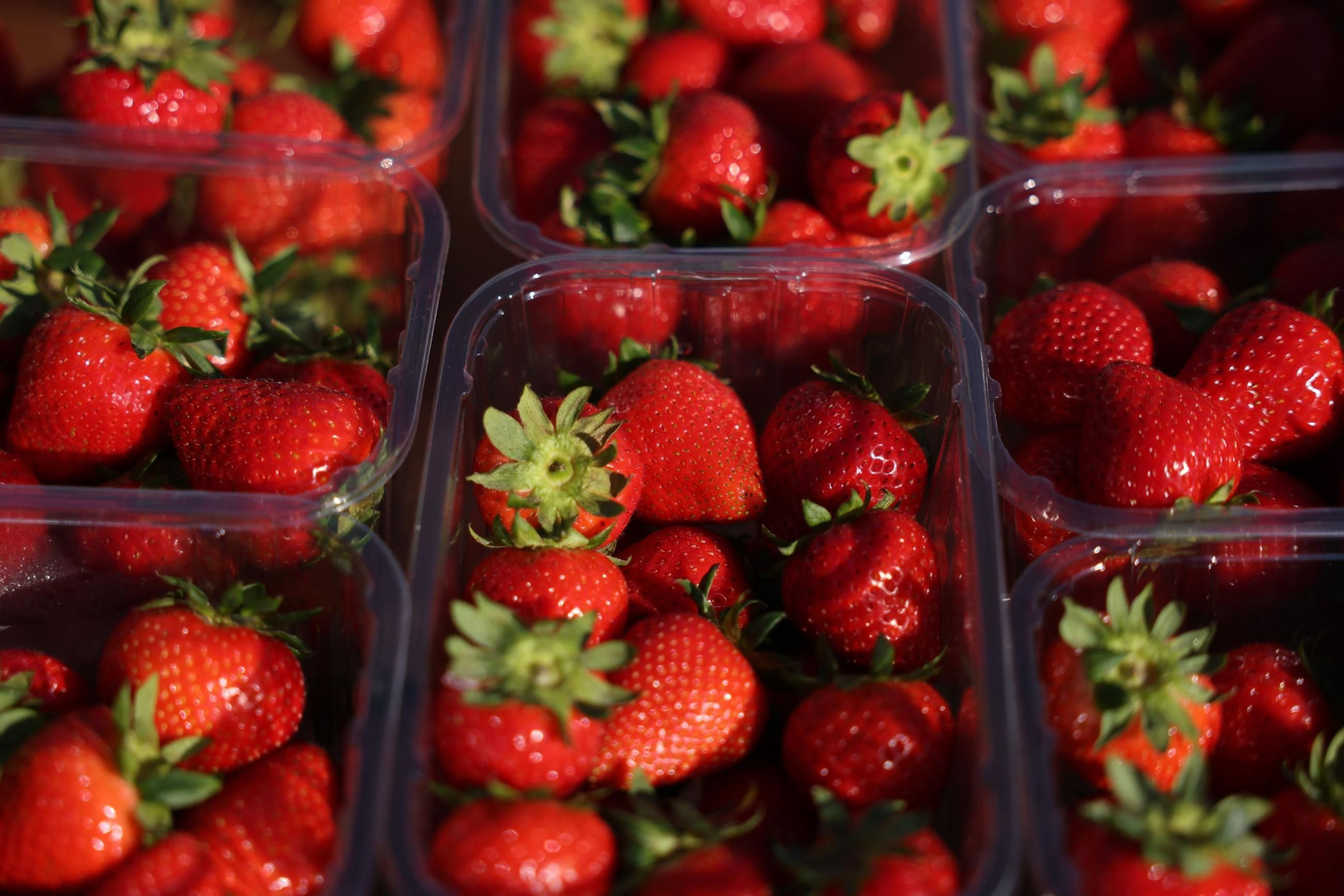 La primera jornada de Wimbledon (9).jpg