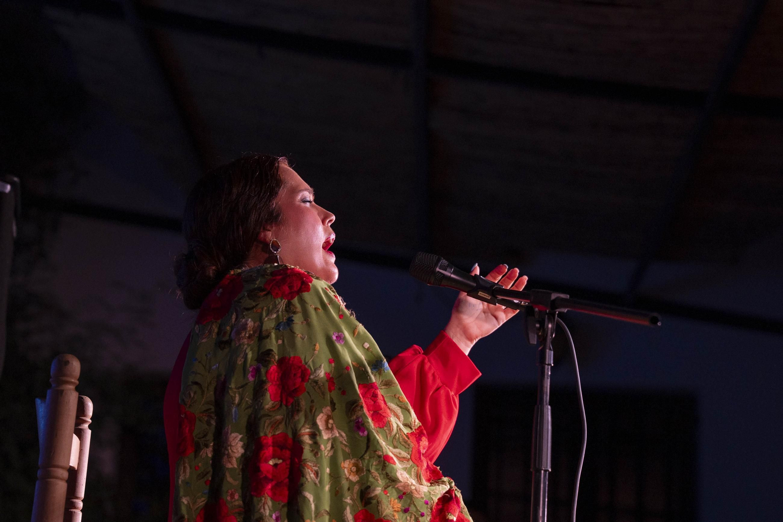 Las mejores imágenes del Festival de Flamenco en Fondón