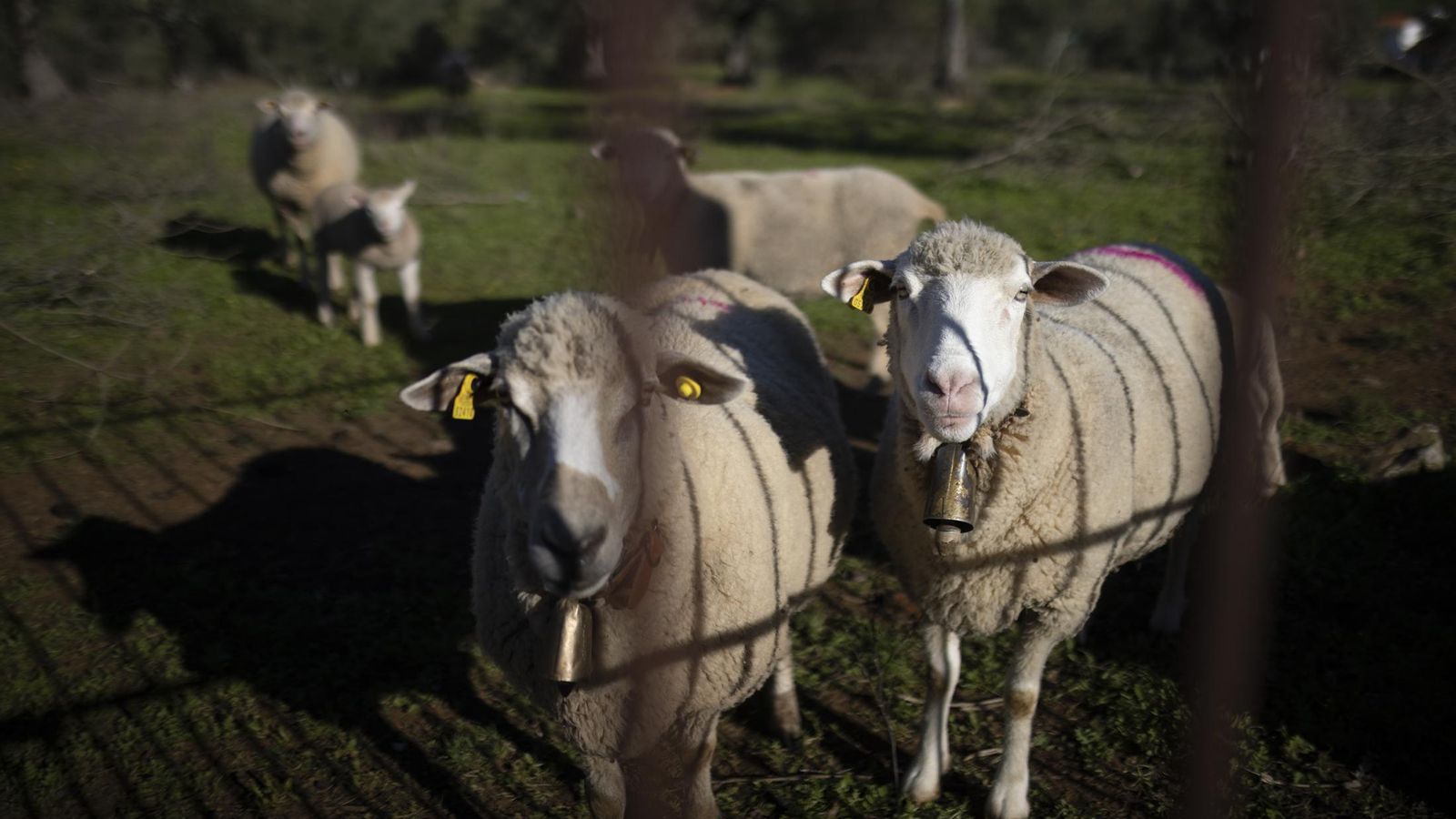 Así es el pueblo más pequeño de Huelva: Solo tiene tres calles