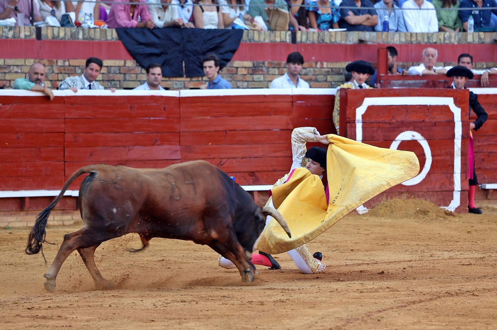 Toros La Merced 2025: Imágenes de la Novillada de Javier Zulueta, Cristian González y Carlos Tirado