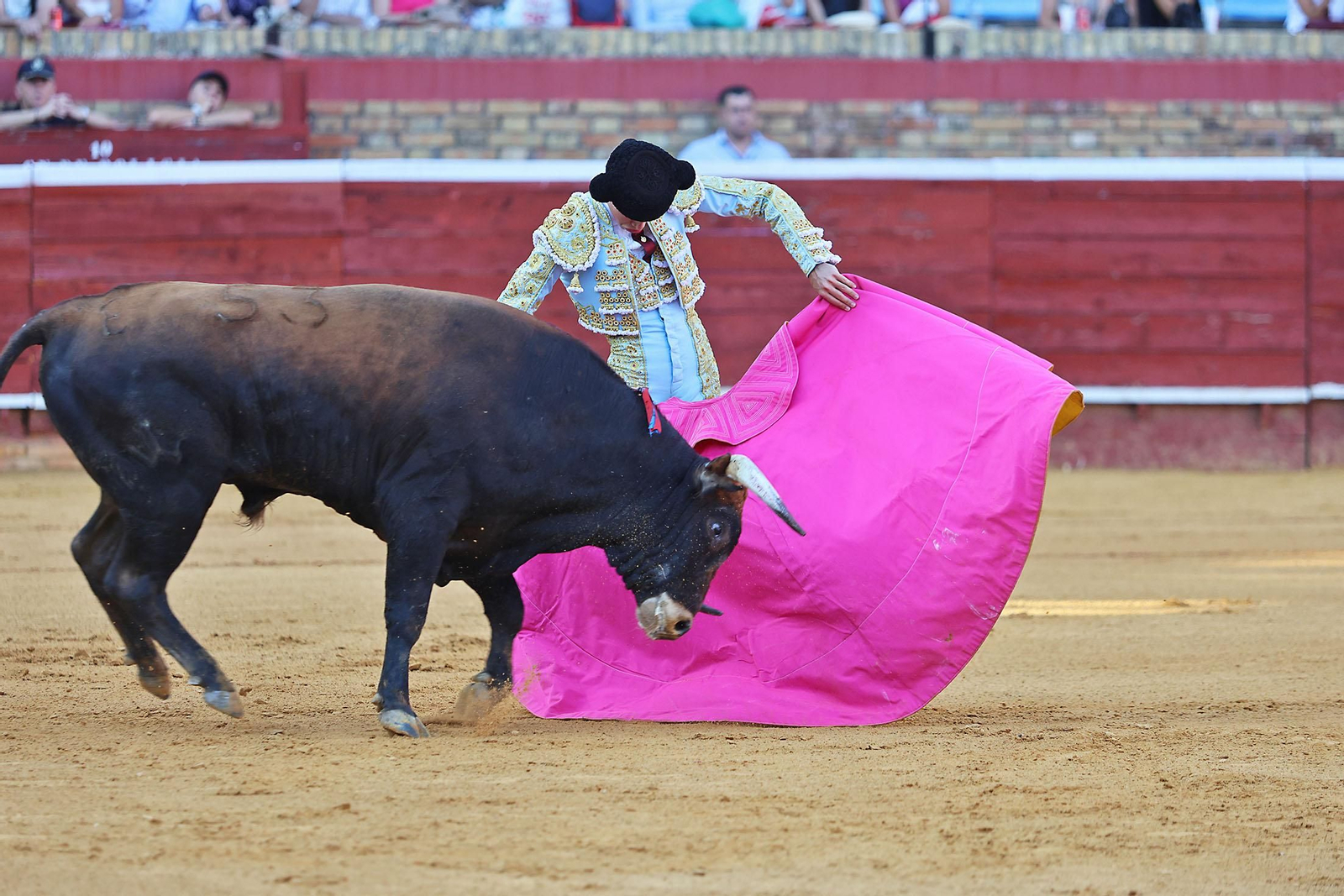 Toros La Merced 2024 Novillada con picadores(