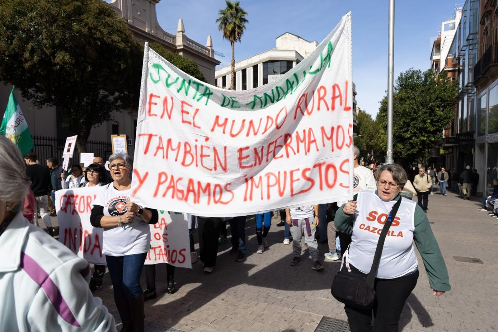 Manifestación "Sanidad cien por cien pública"