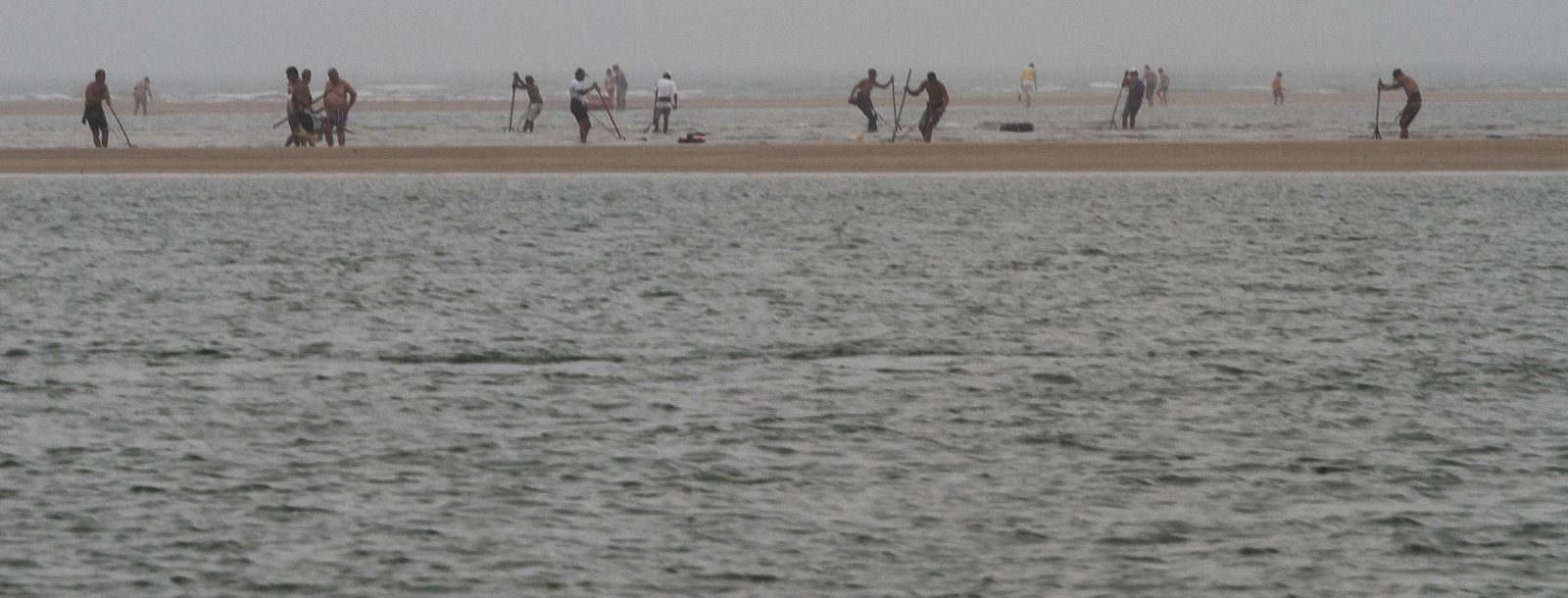 Mariscadores a pie capturan coquina en el litoral onubense.