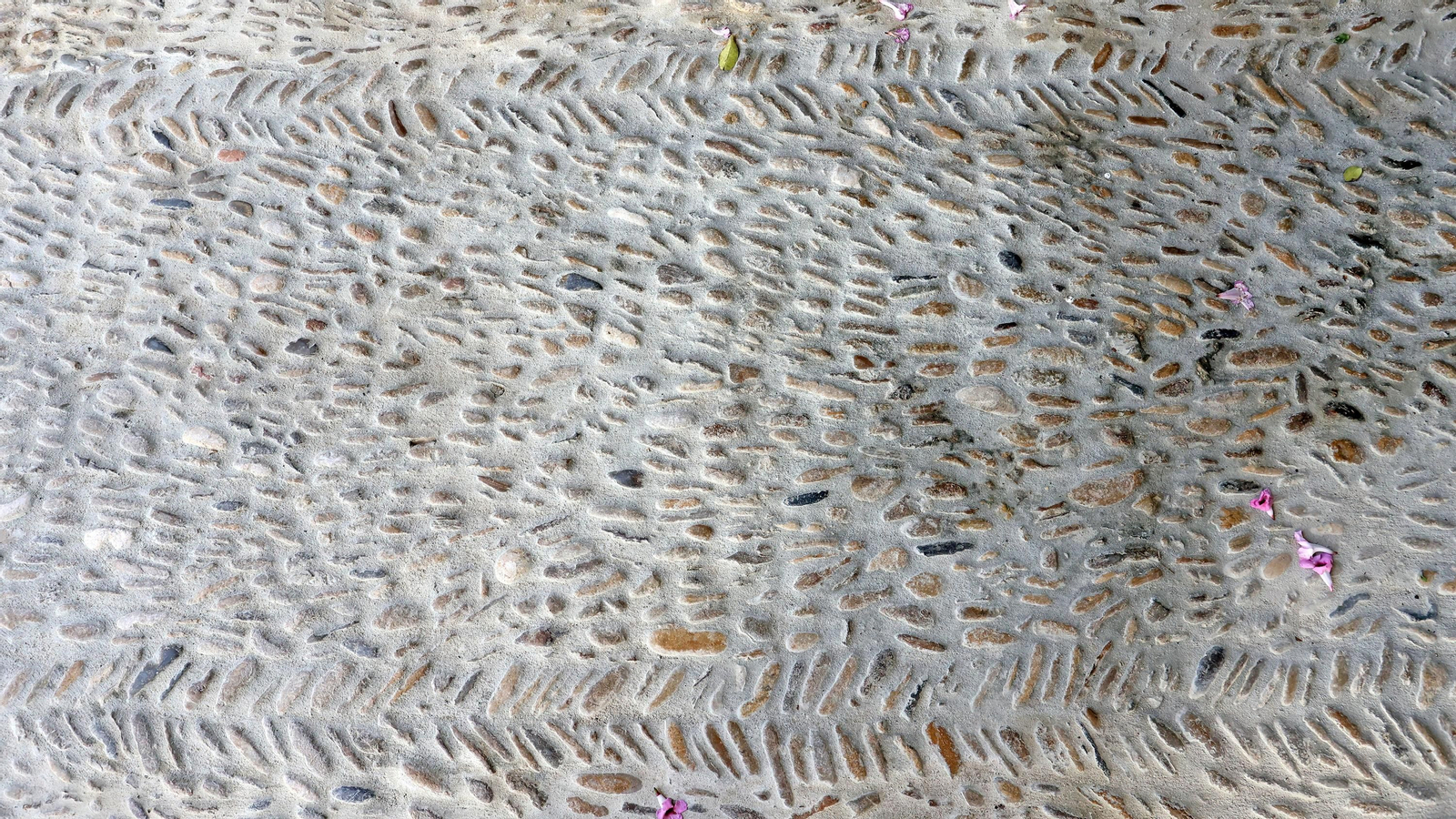 Imágenes de la finca 'El Barrosillo'