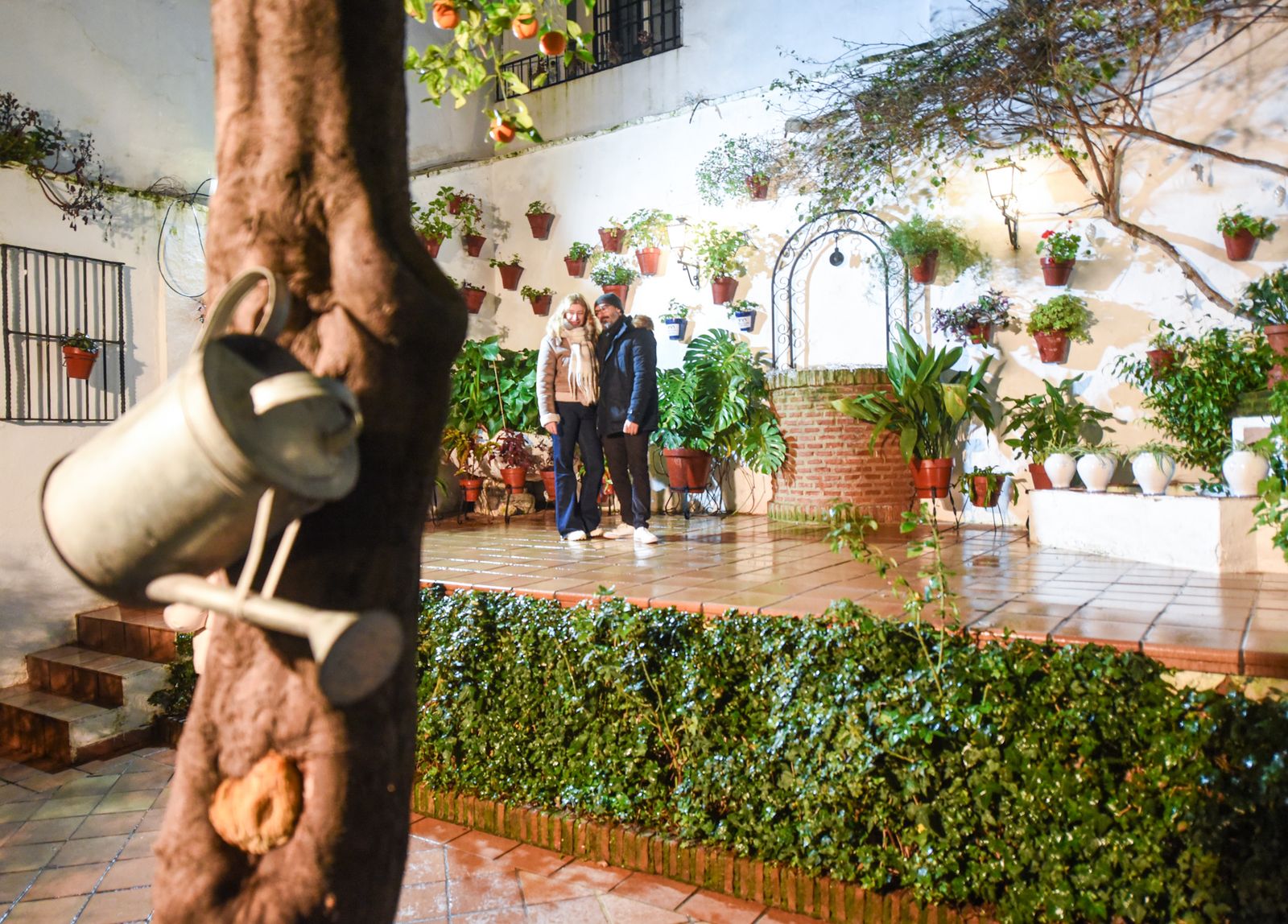 Las mejores fotos de la última jornada de la Navidad en los Patios