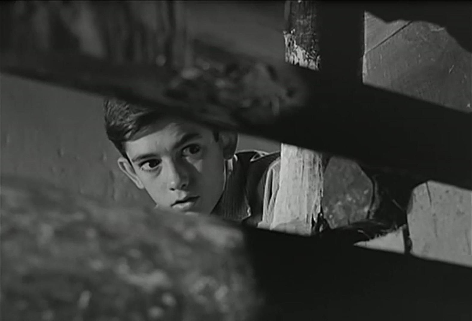 José A. Mejías, el niño protagonista de 'El Camino'.