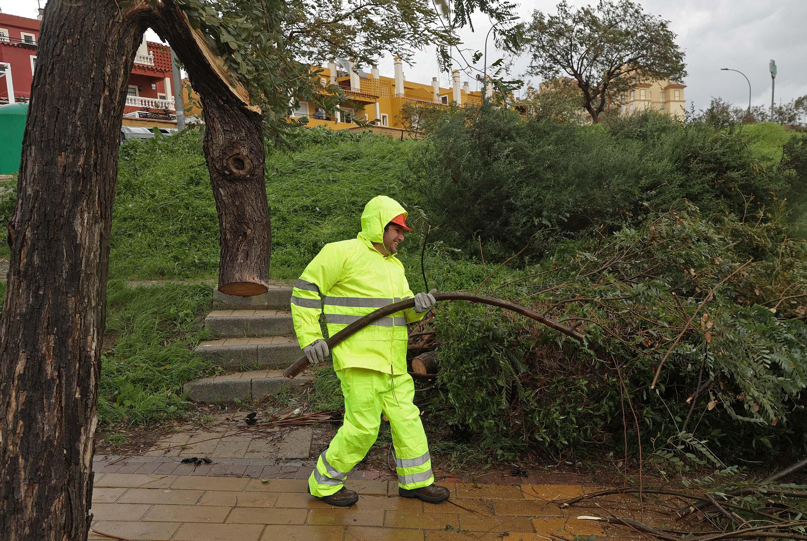 Fotos de los daños del temporal Karlotta en Algeciras