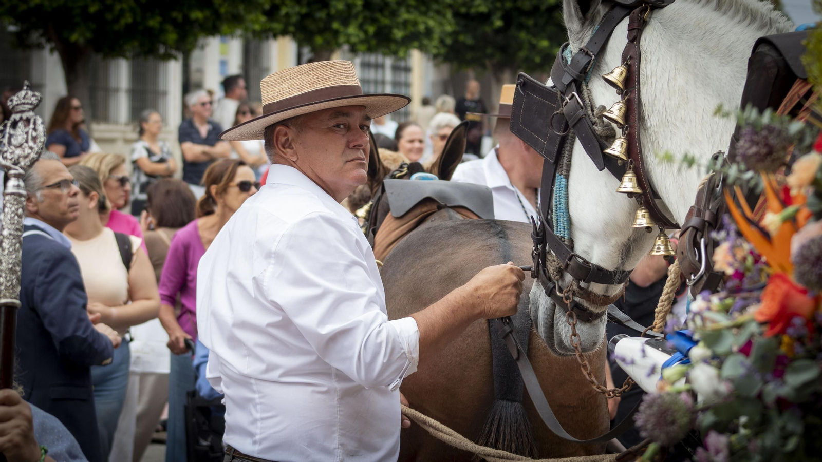 Romería del Rocío: las imágenes de la salida de la hermandad de San Fernando