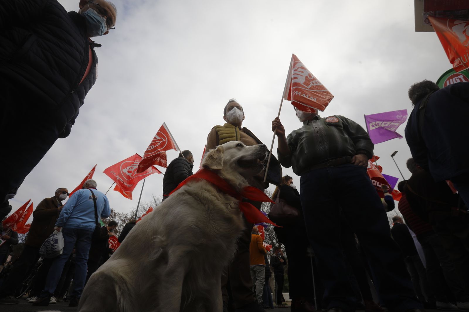 Manifestación en defensa de la sanidad pública en Córdoba, en imágenes