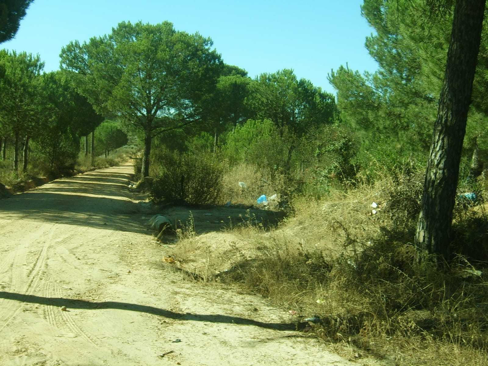 Terrenos en los que irá ubicado el CEUS y que serán limpiados en los próximos días.