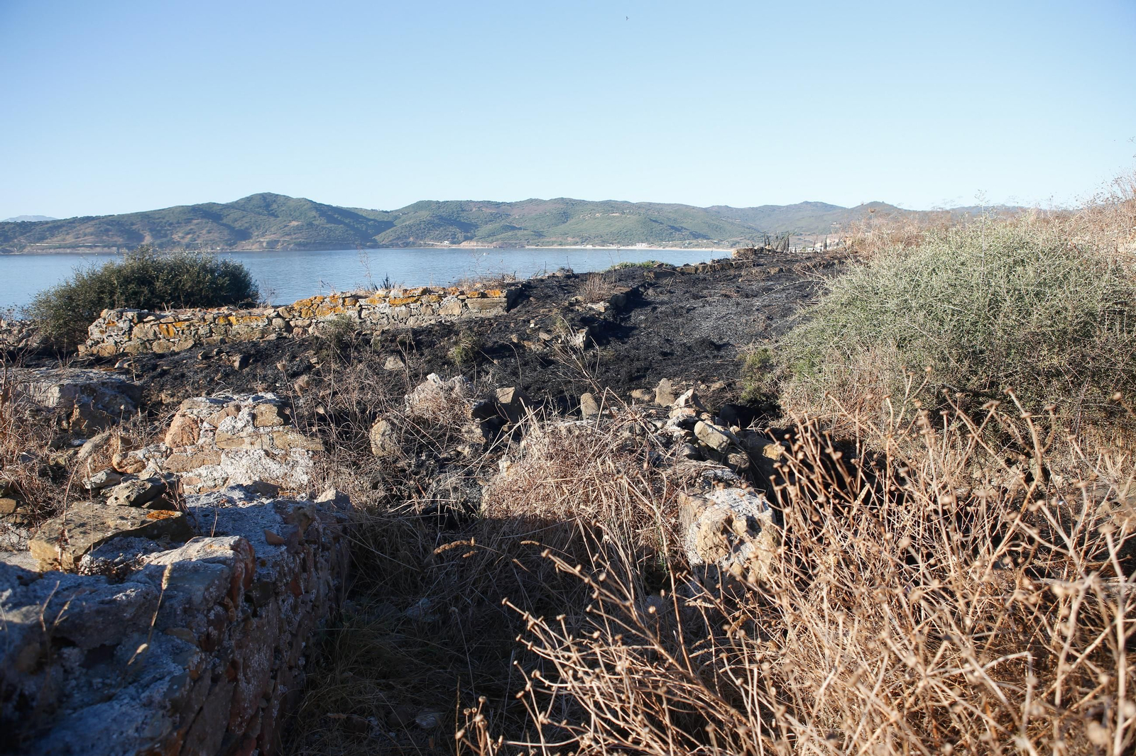 Daños en el Parque Centenario de Algeciras tras el incendio nocturno, en imágenes