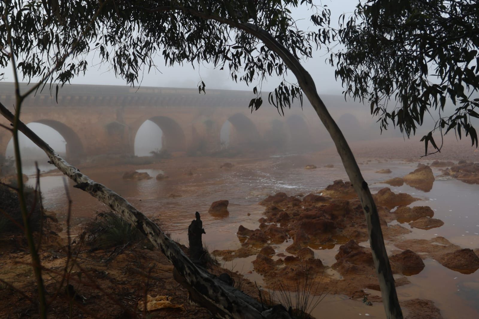 Huelva se tiñe de blanco con la densa niebla de este jueves: espectaculares imágenes de la provincia a primera hora de la mañana