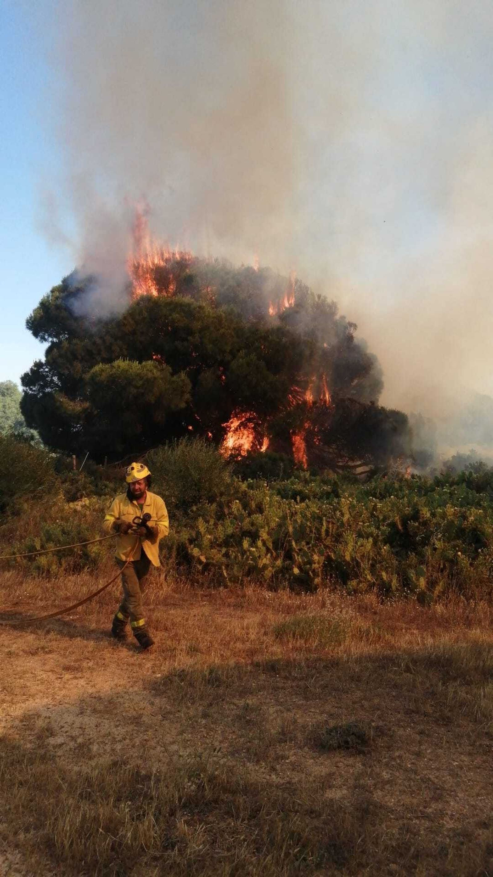 Un bombero trabaja en el incendio en los alrededores de 'El Rosal'