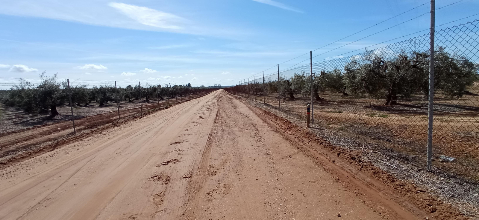 Las imágenes de la Ruta Azul en Bollullos de la Mitación
