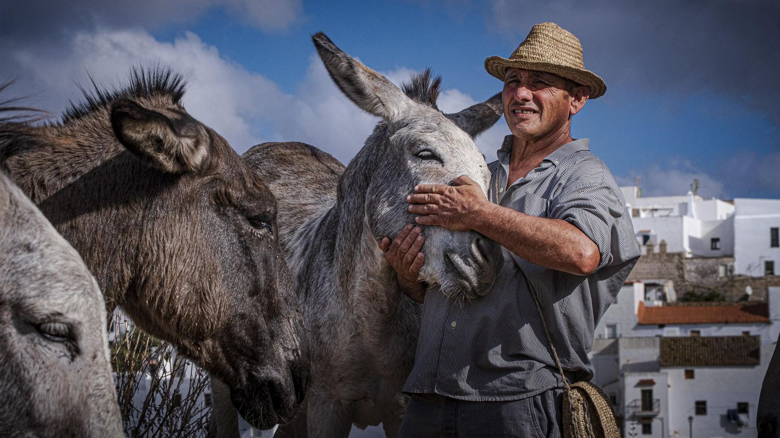 Juanino con varios de sus burros en Vejer, donde vive desde que nació hace medio siglo.