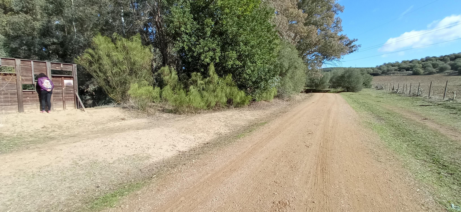 Las imágenes de la ruta ornitológica del corredor verde