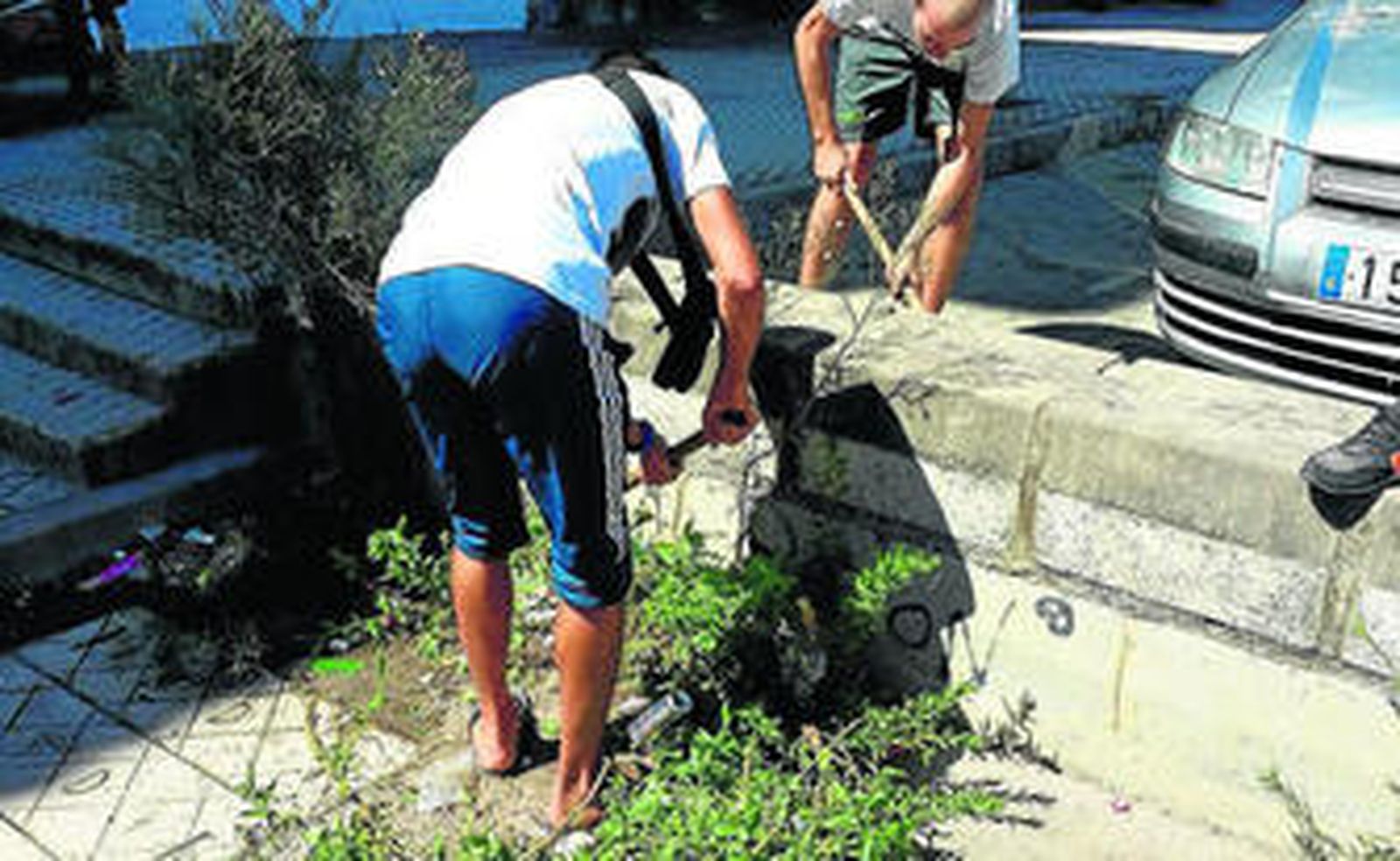 Los voluntarios arrancan la maleza que se abre paso en los muros y la acera de la calle García Lorca.