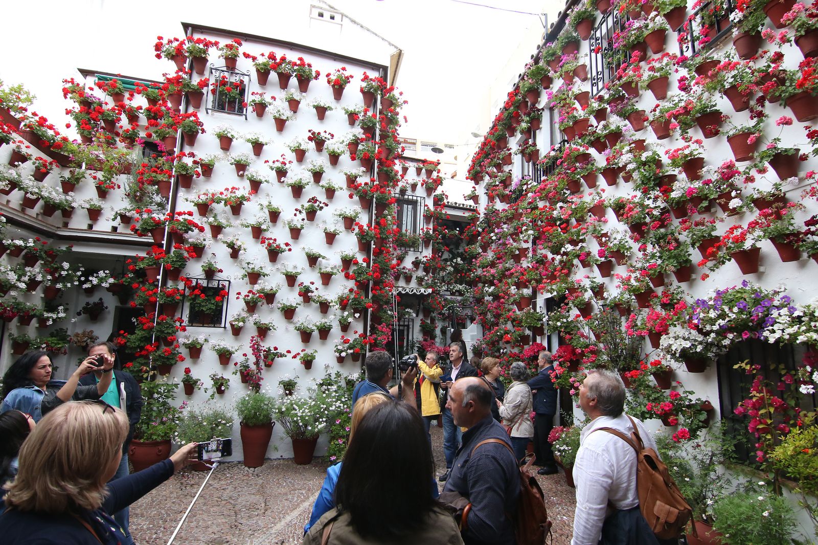 Los patios ganadores en el concurso de los Patios de Córdoba 2017
