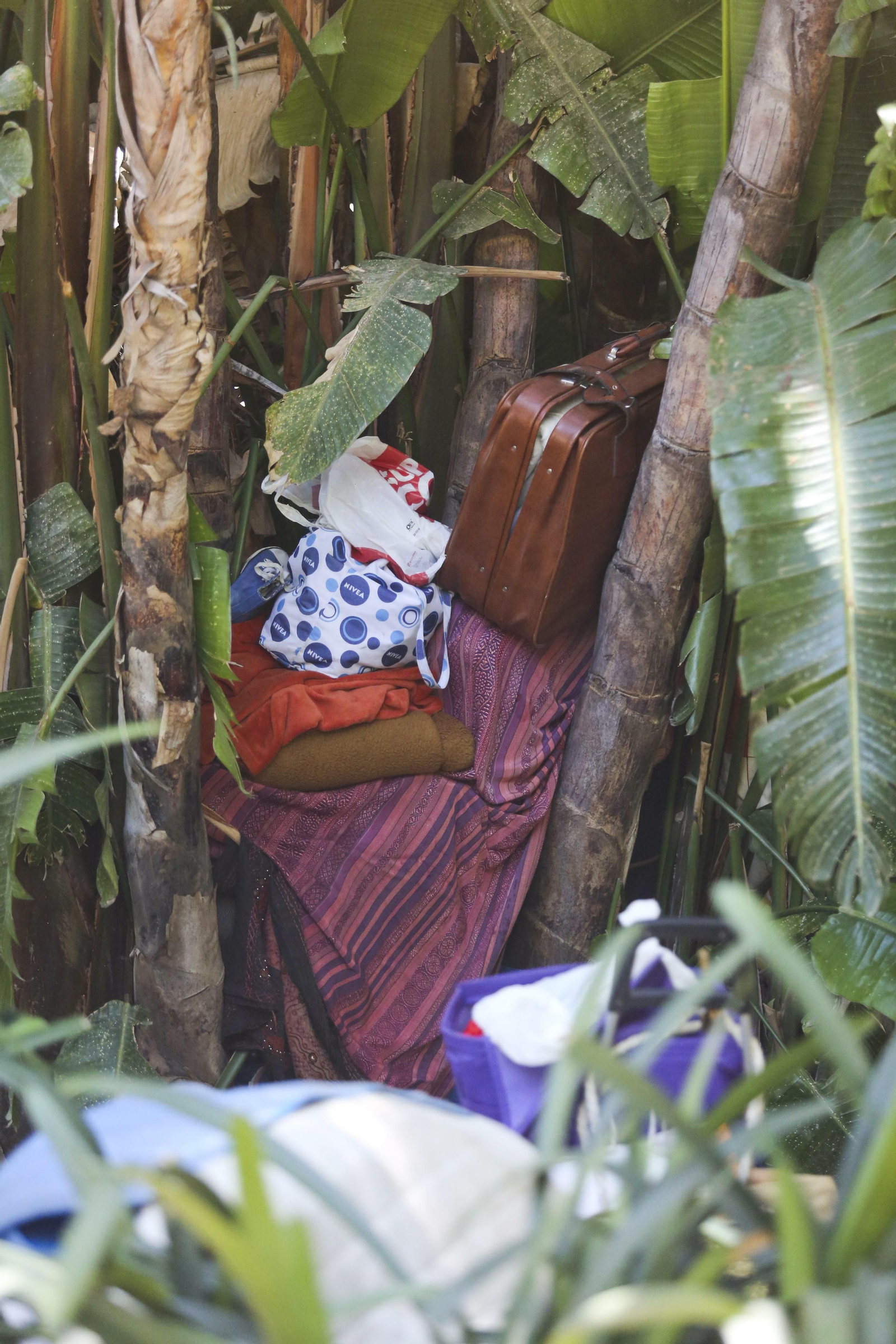 Fotos del  'camping' de los indigentes en el Parque de Málaga