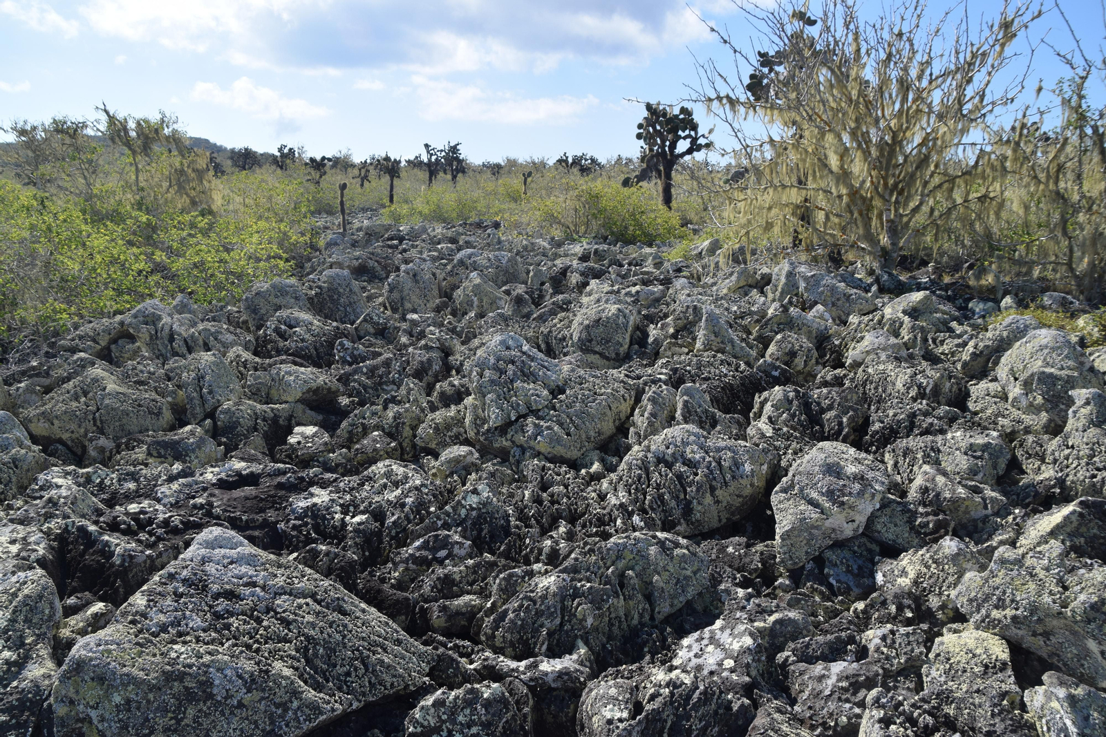 Las fotografías de Bárbara Sellés en una isla desierta para estudiar tortugas Las fotografías de Bárbara Sellés en una isla desierta para estudiar tortugas