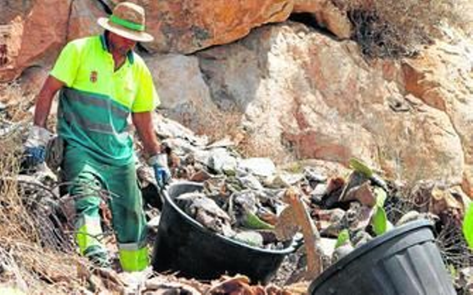 Retirada manual de las chumberas