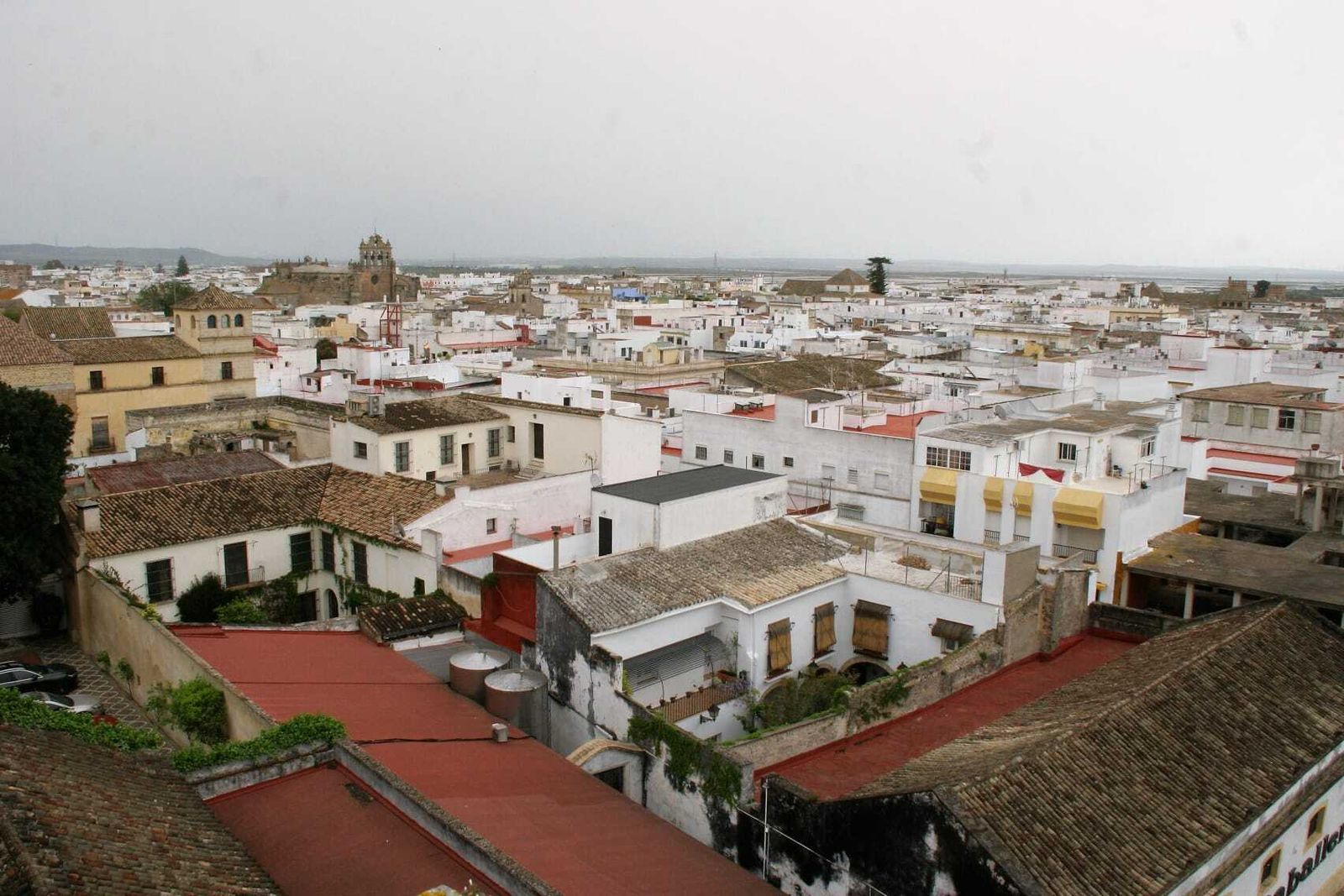 La ciudad contará con un Plan de Movilidad para mejorar la calidad ambiental.