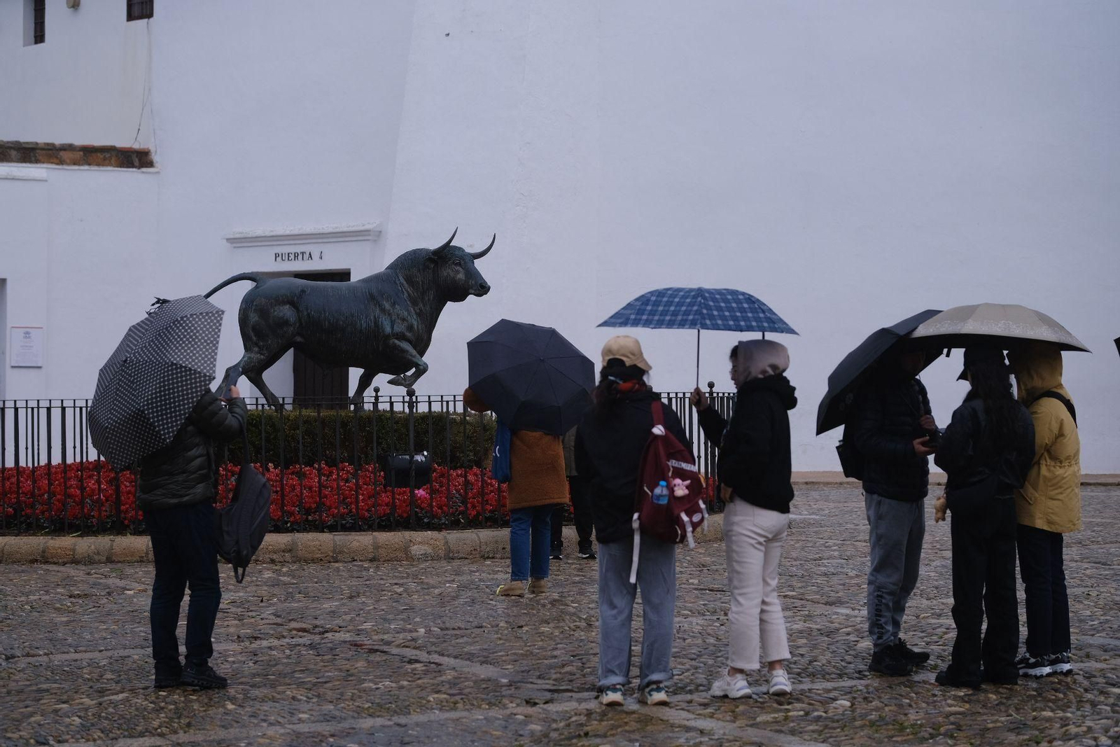 Las imágenes de la lluvia de la borrasca Karlotta en Ronda Las imágenes de la lluvia de la borrasca Karlotta en Ronda