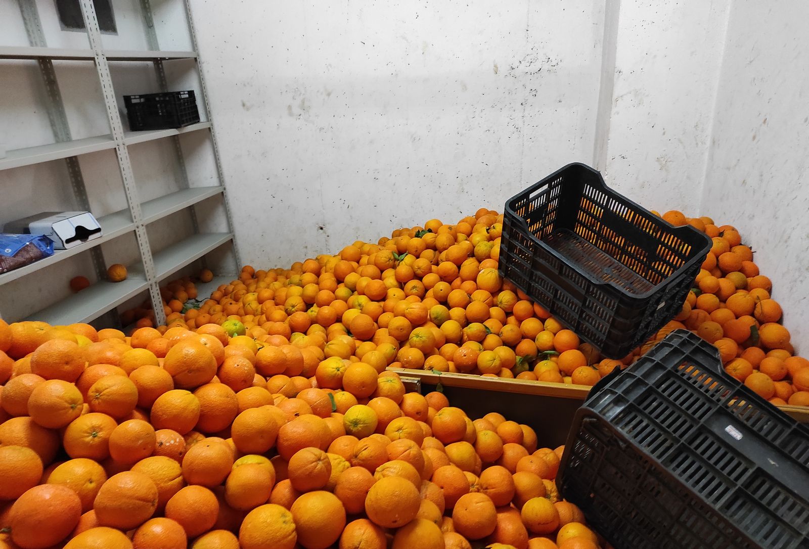 Naranjas incautadas por la Policía Local de Huelva.