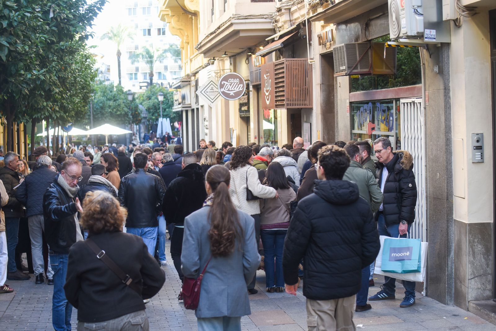 La Tardevieja en Córdoba para despedir 2025, en imágenes