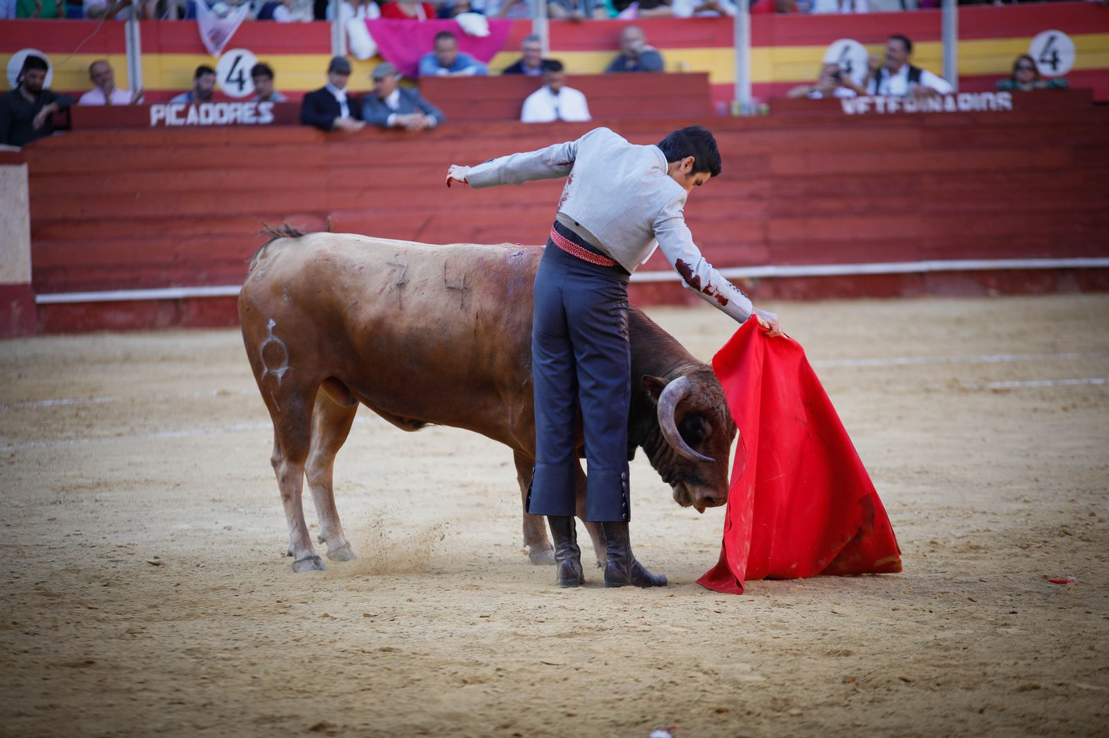 Imágenes del festival mixto lucha contra el cáncer