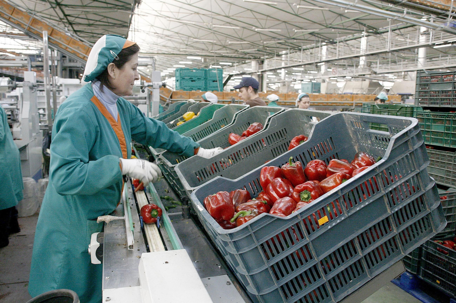 Trabajadora en una fábrica de hortalizas.