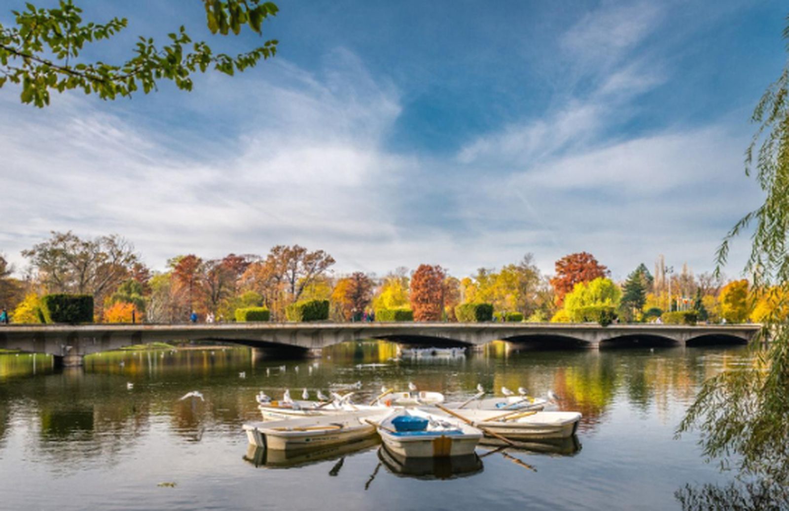 Evolución de consumos y conductas adictivas