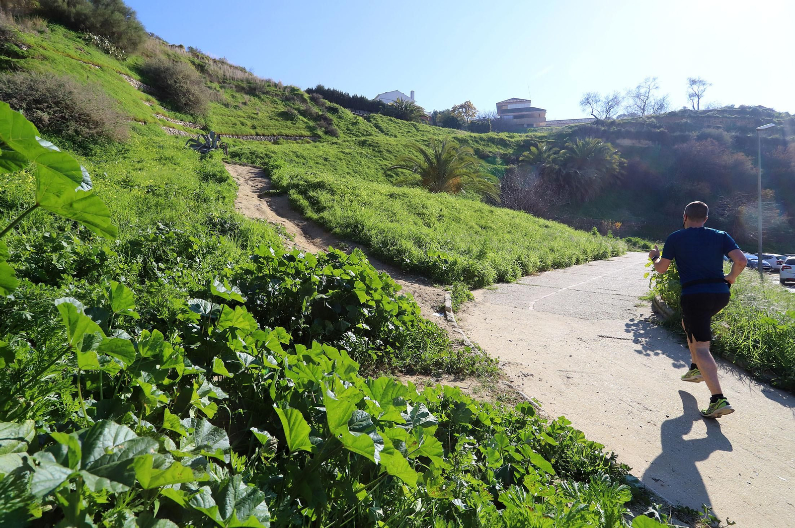 Un joven hace deporte entre los caminos que discurren a lo largo de las laderas del Conquero, donde se va a actuar en unos meses.