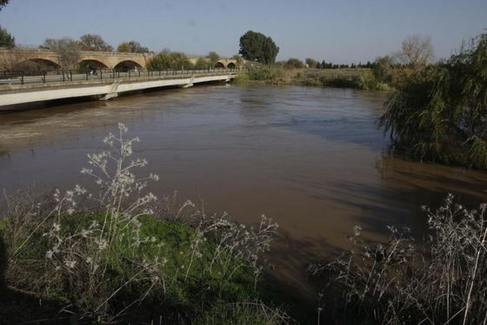 Foto: José Ángel García