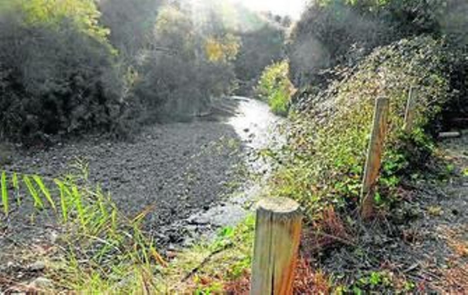 Orilla del río Salado, con vegetación mediterránea.