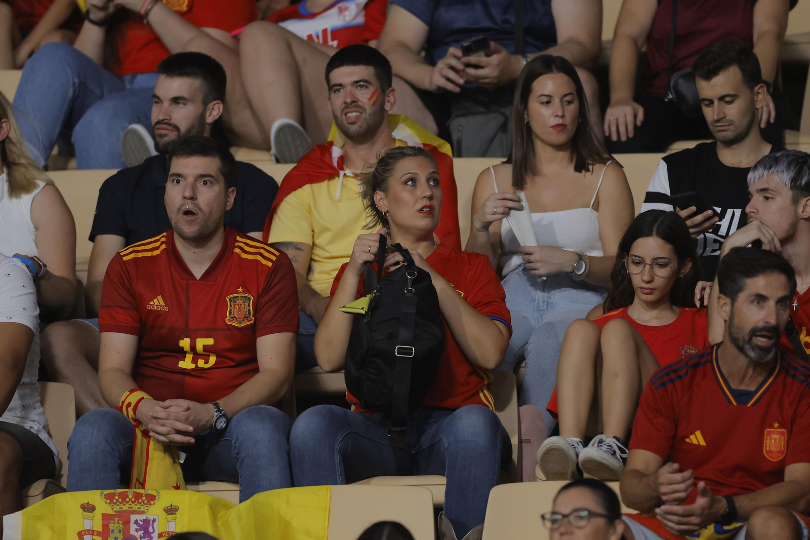 Búscate en las fotos del España-Escocia