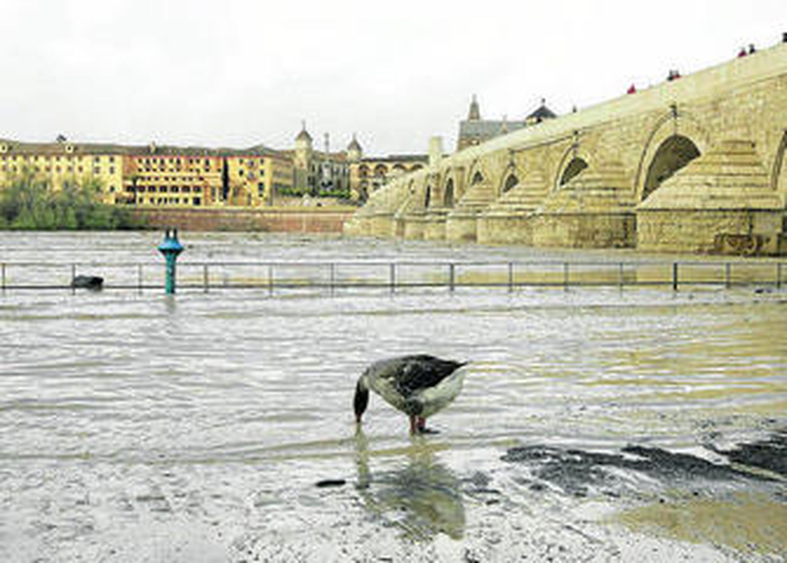 Crecida del río a su paso por el Puente Romano durante la tarde de ayer.