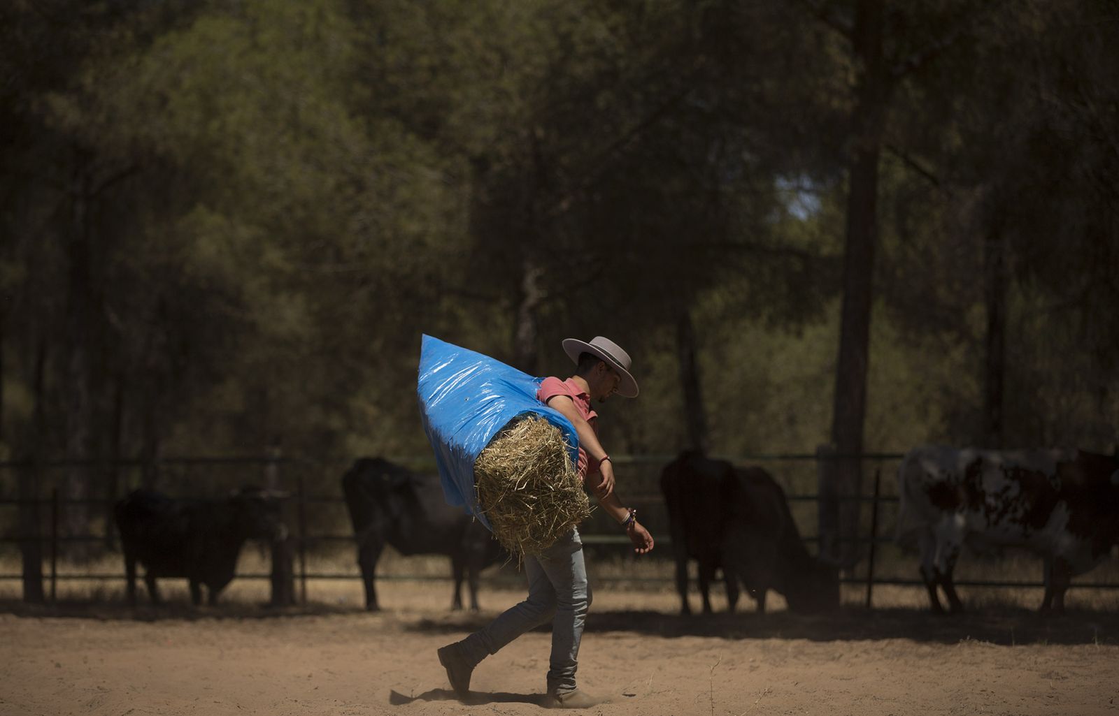 El paso de hermandades del Rocío por la Raya Real
