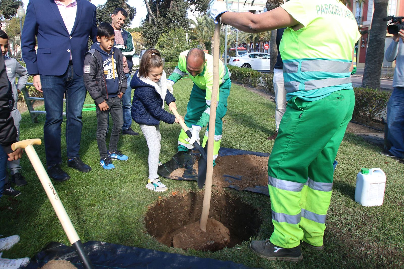 Imágenes del Día Mundial del Árbol