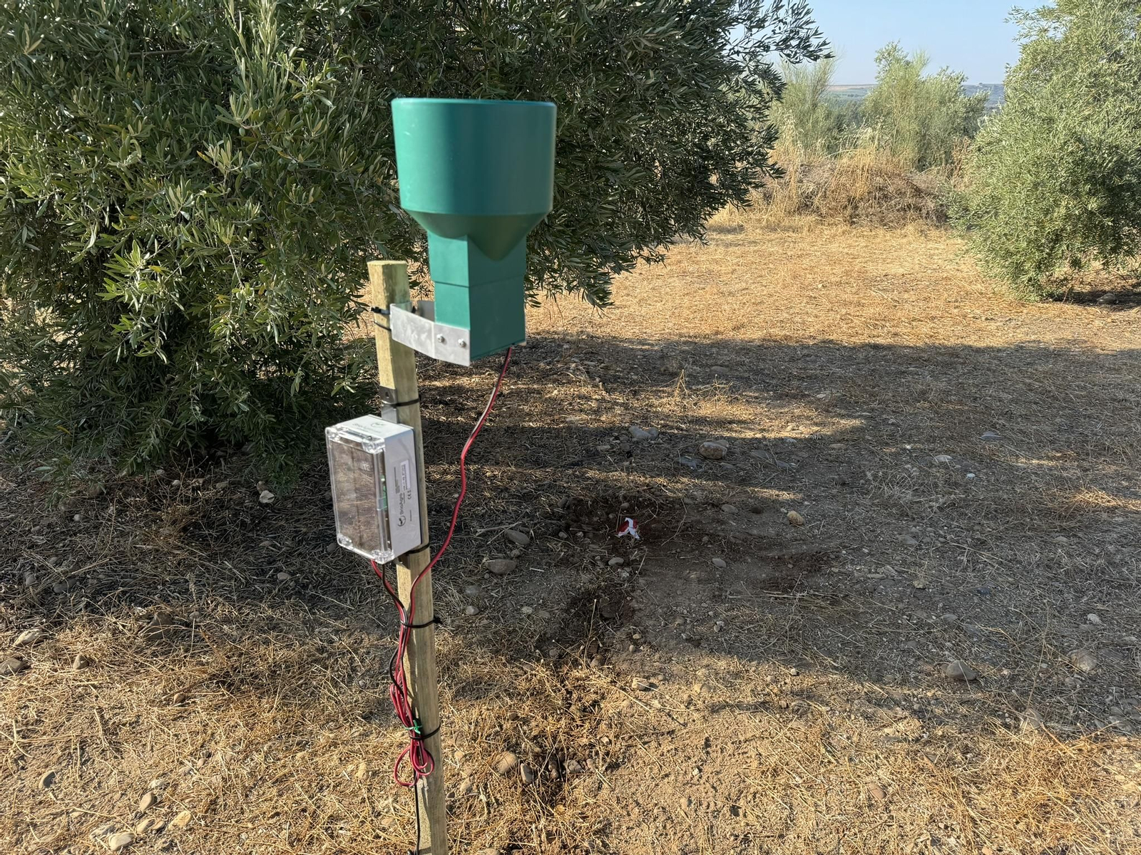 Tecnología aplicada al mayor rendimiento del campo jiennense.