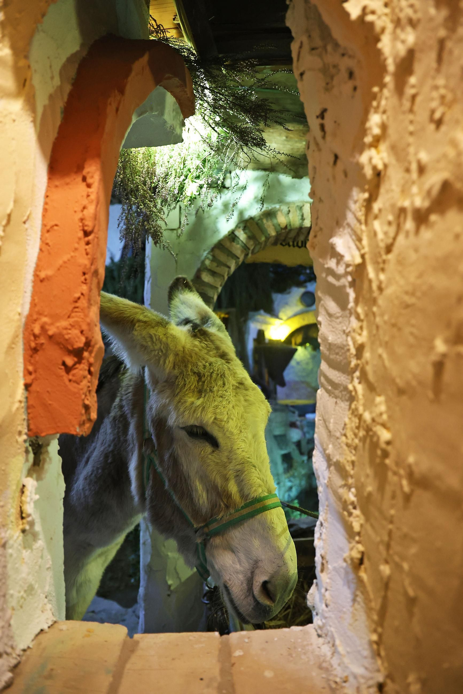 Las imágenes del Belén Viviente de Beas