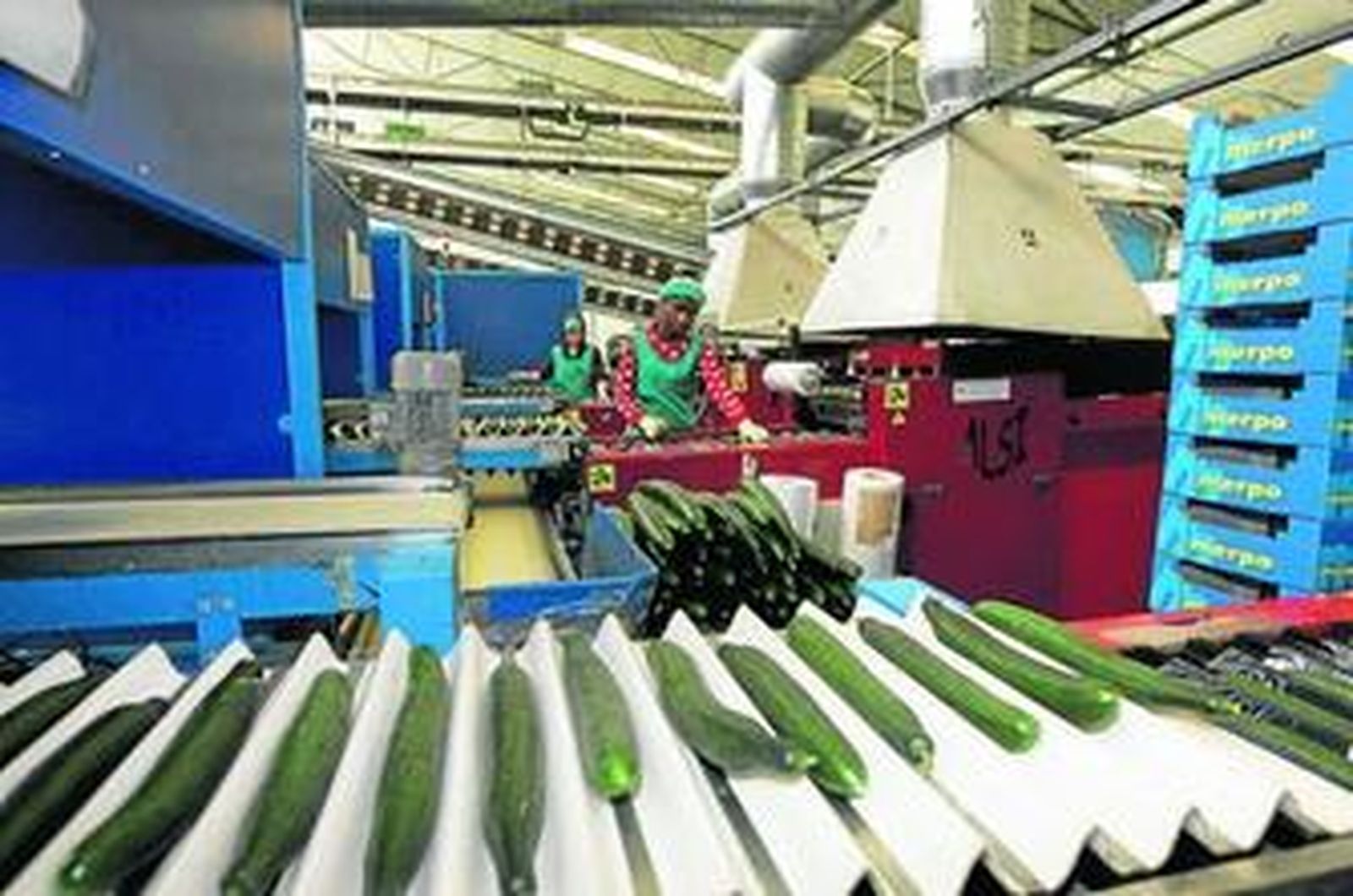 Alhóndiga La Unión es pionera y referente en Almería en innovación y apuesta por la tecnología aplicada al agro.