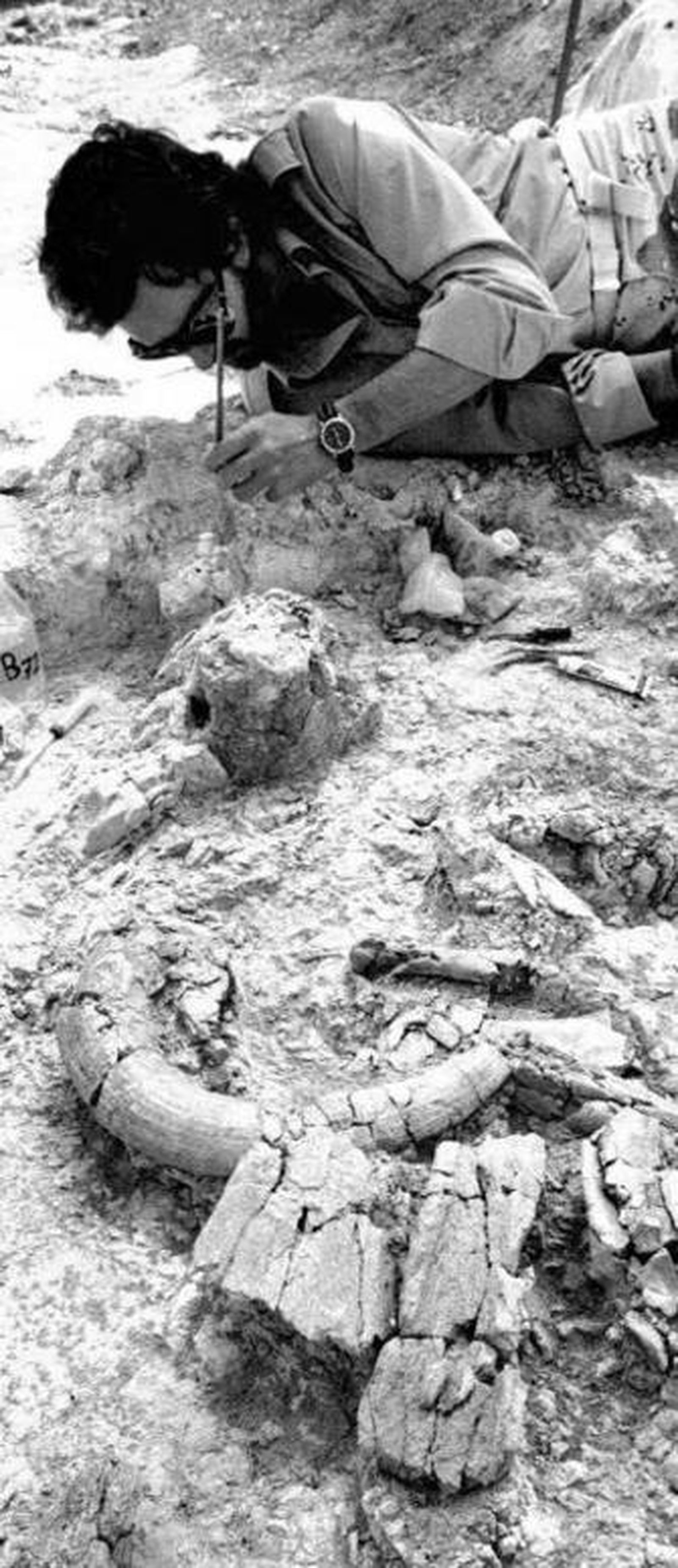 Trabajos de la última temporada de excavaciones en Orce.