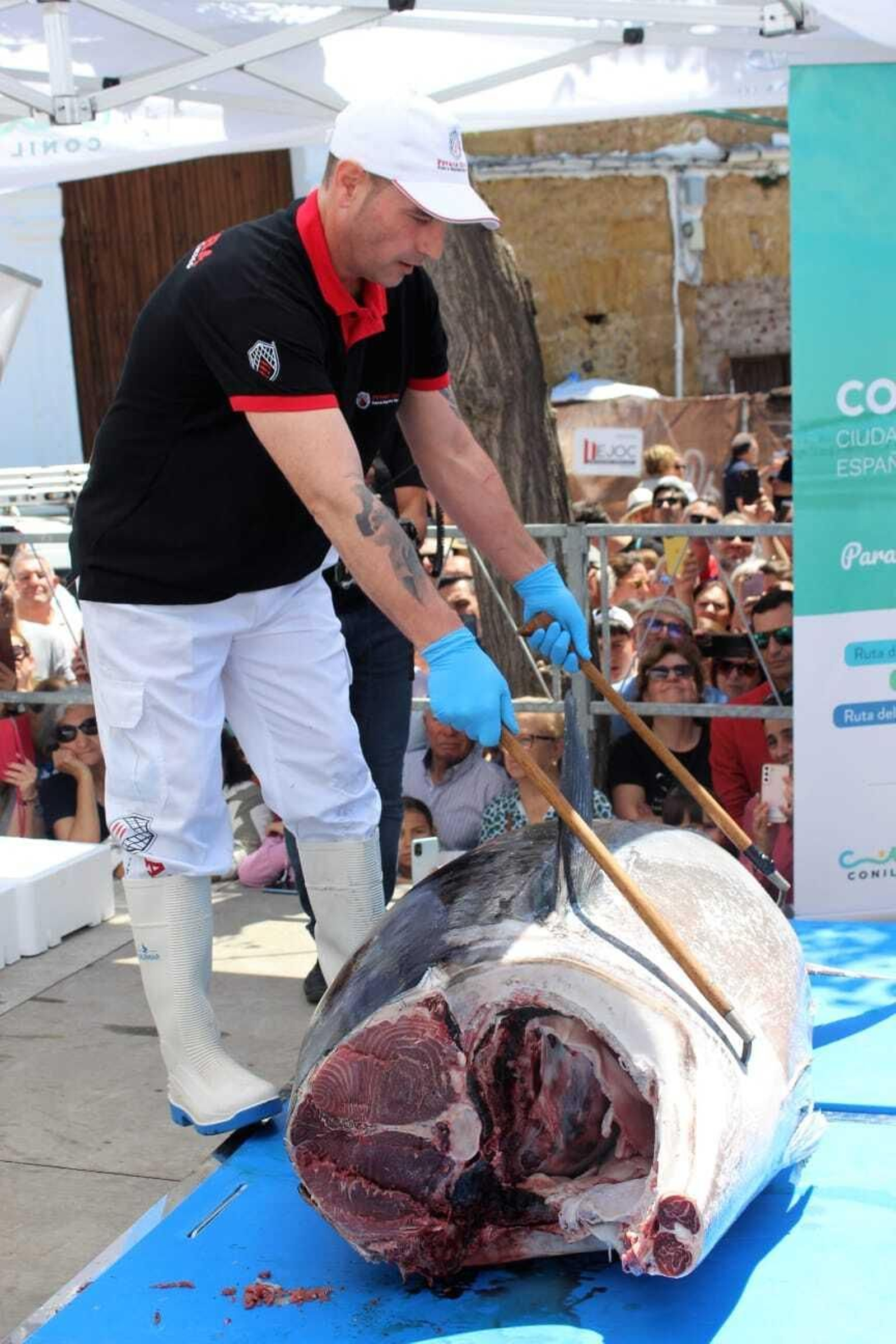 Semana del Atún de Conil