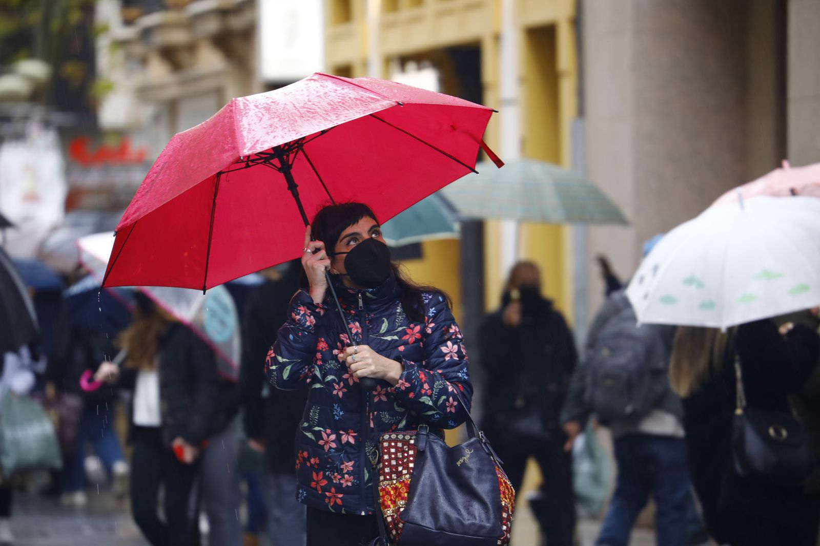 Las fotografías del paso de la borrasca Filomena por Córdoba