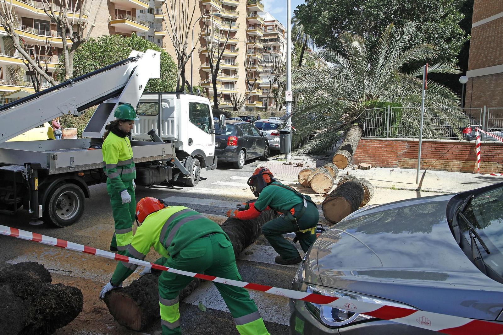 Las imágenes de los daños del viento en Sevilla