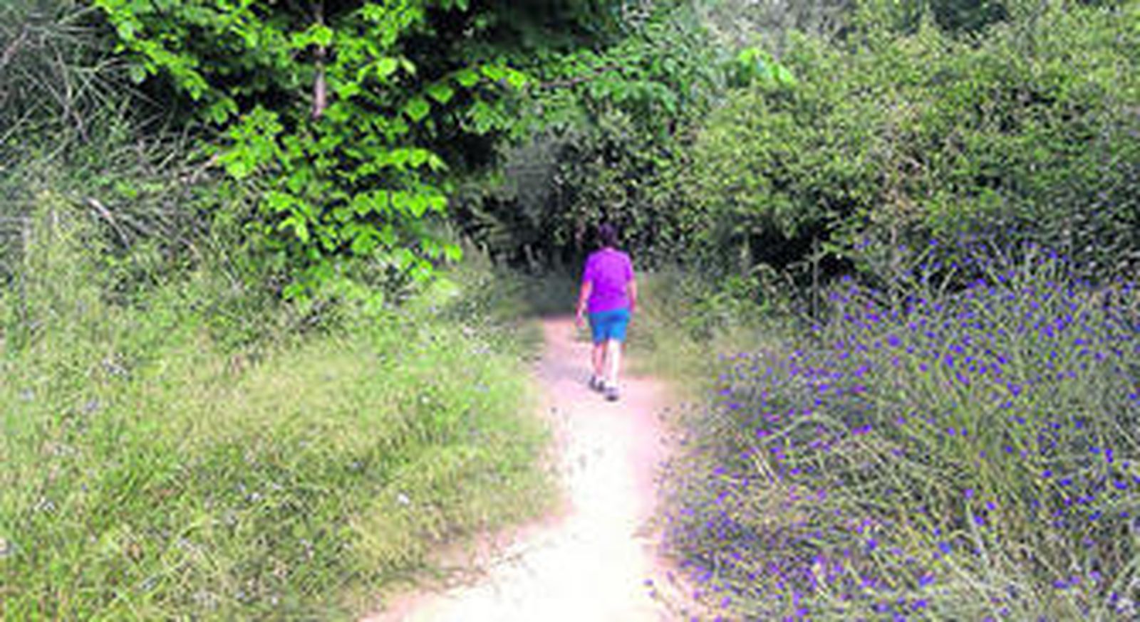 Imagen de un tramo del paseo del río Pícaro.