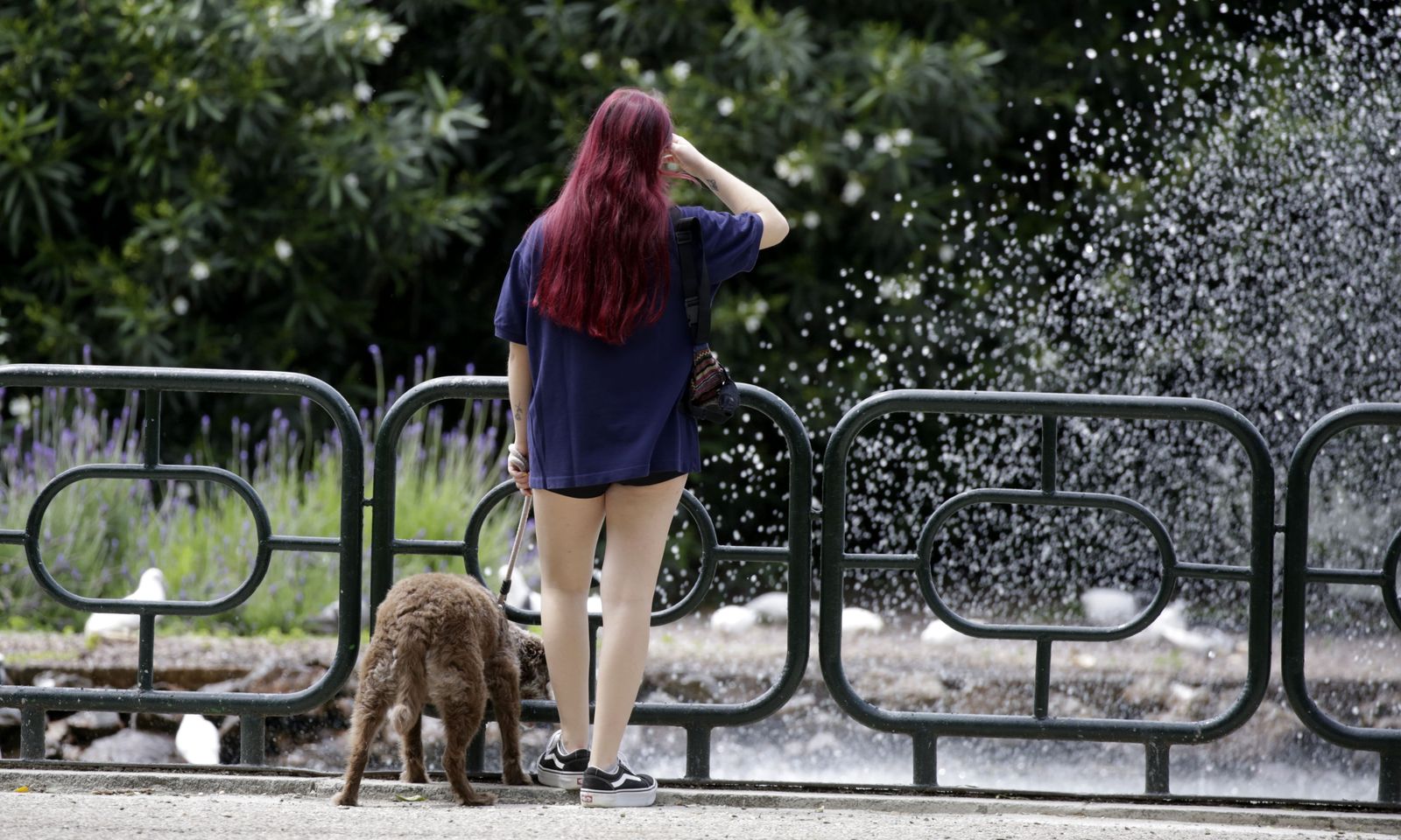 Una joven pasea su perro en un parque.